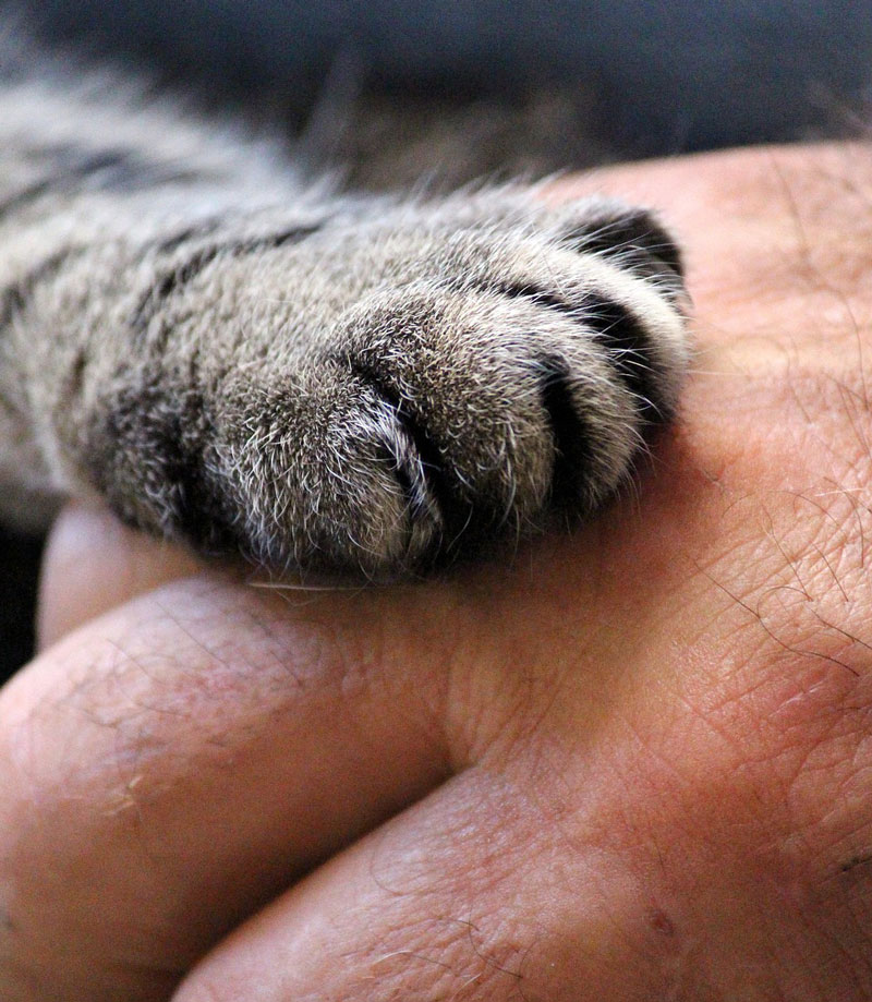 Trykk her for å se aktiviteten