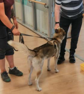 Trykk her for å se aktiviteten