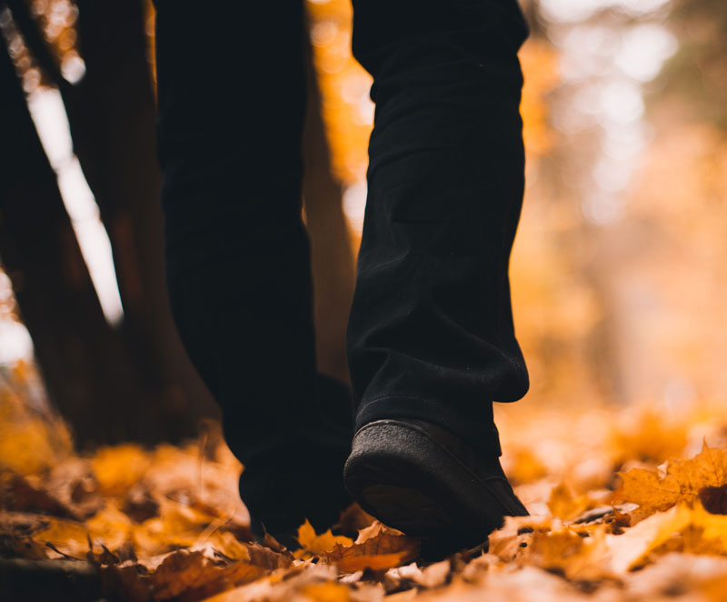 Trykk her for å se aktiviteten