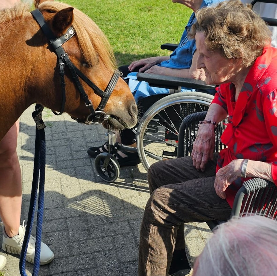 Trykk her for å se aktiviteten