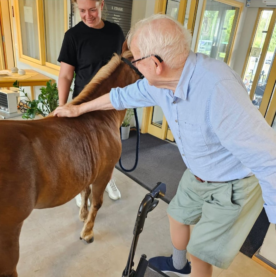 Trykk her for å se aktiviteten