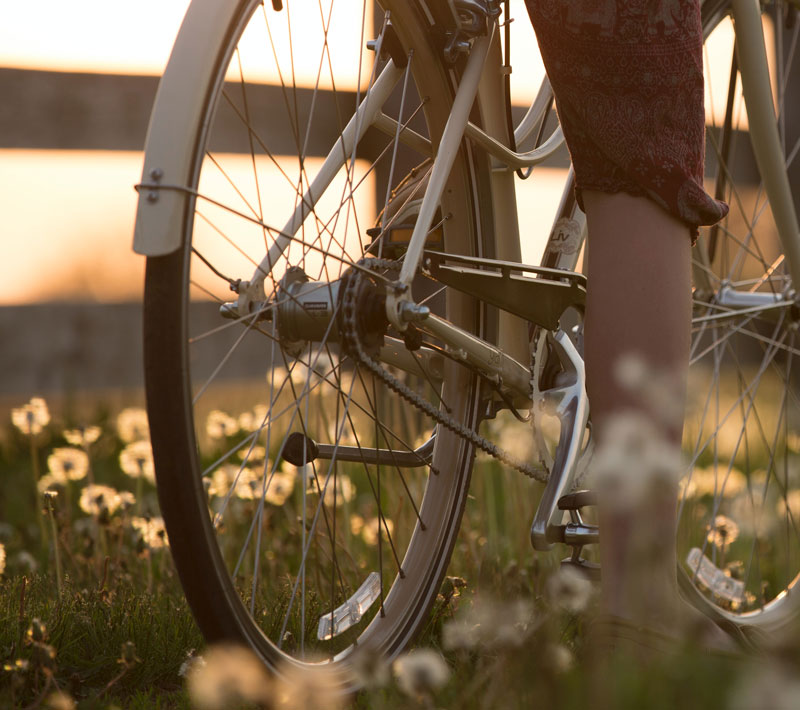 Trykk her for å se aktiviteten
