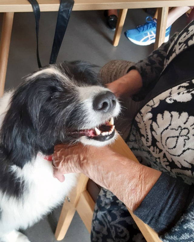 Trykk her for å se aktiviteten