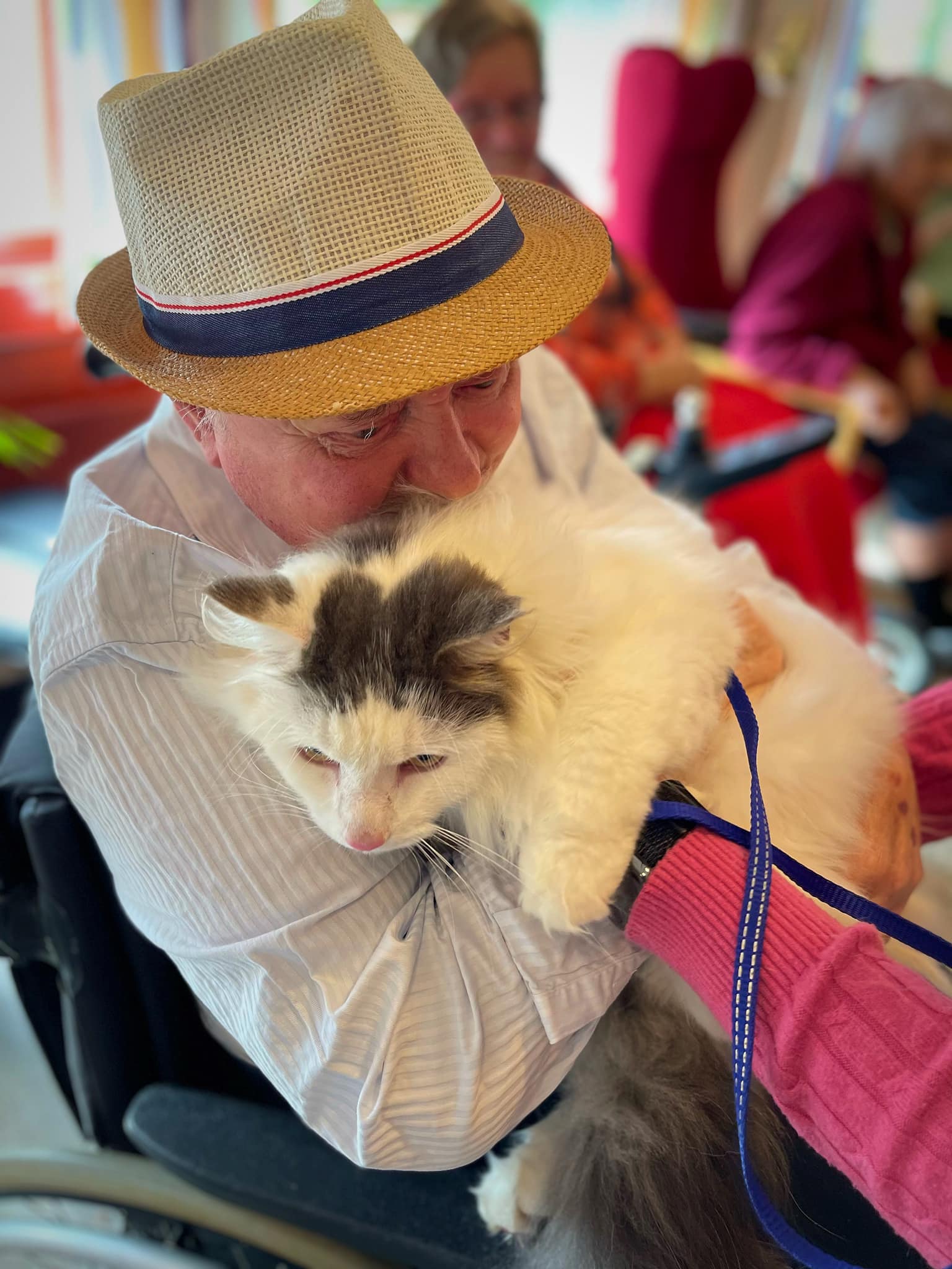 Trykk her for å se aktiviteten