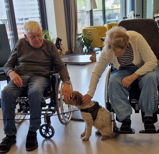 Trykk her for å se aktiviteten