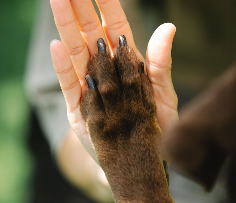 Trykk her for å se aktiviteten