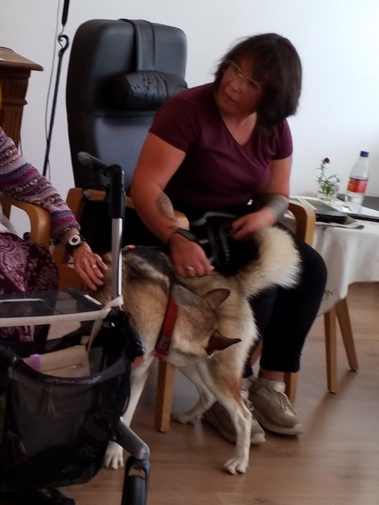 Trykk her for å se aktiviteten