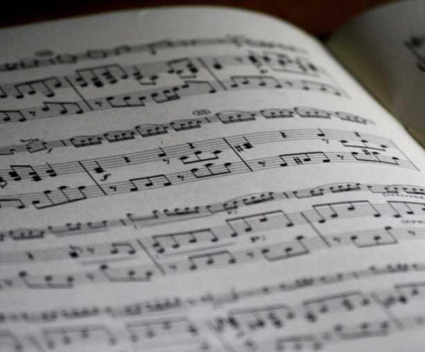 Trykk her for å se aktiviteten