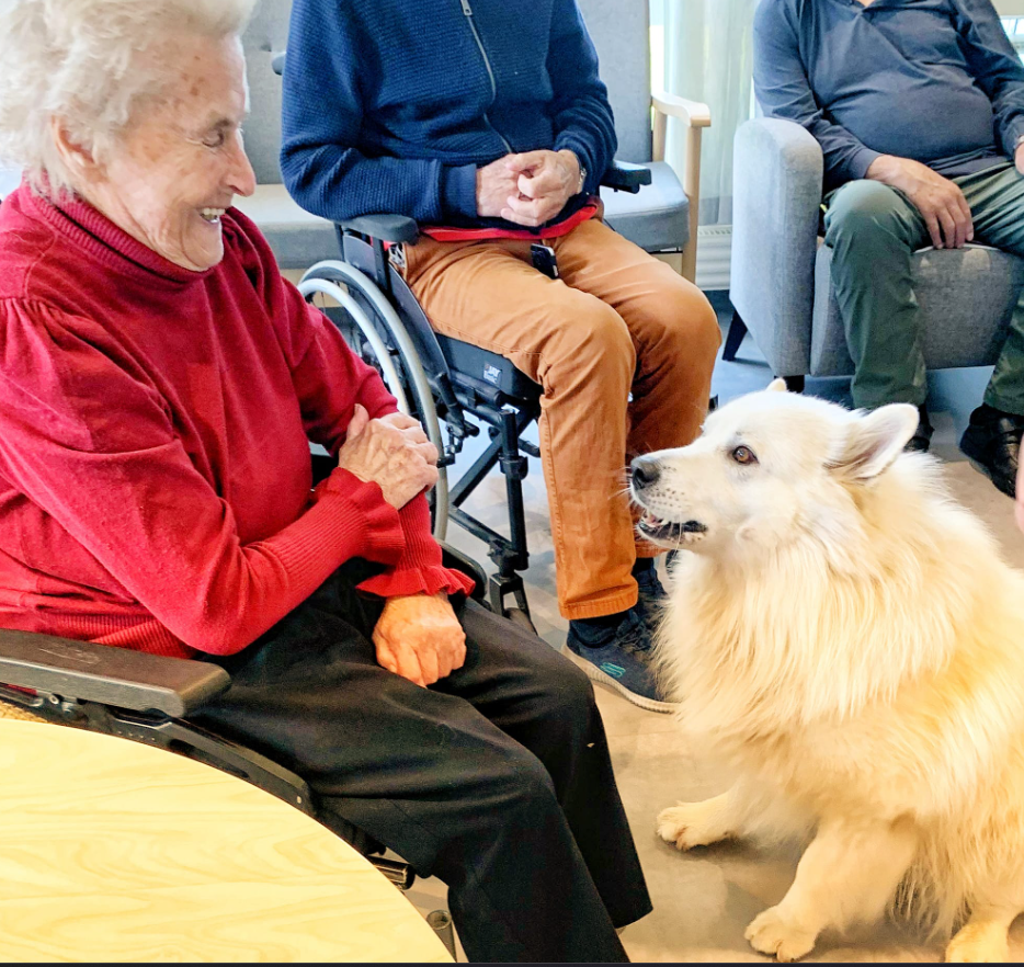 Trykk her for å se aktiviteten