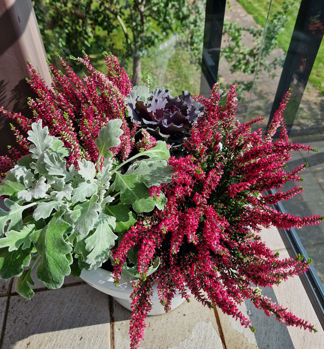 Trykk her for å se aktiviteten