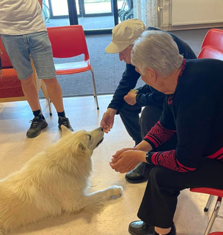 Trykk her for å se aktiviteten