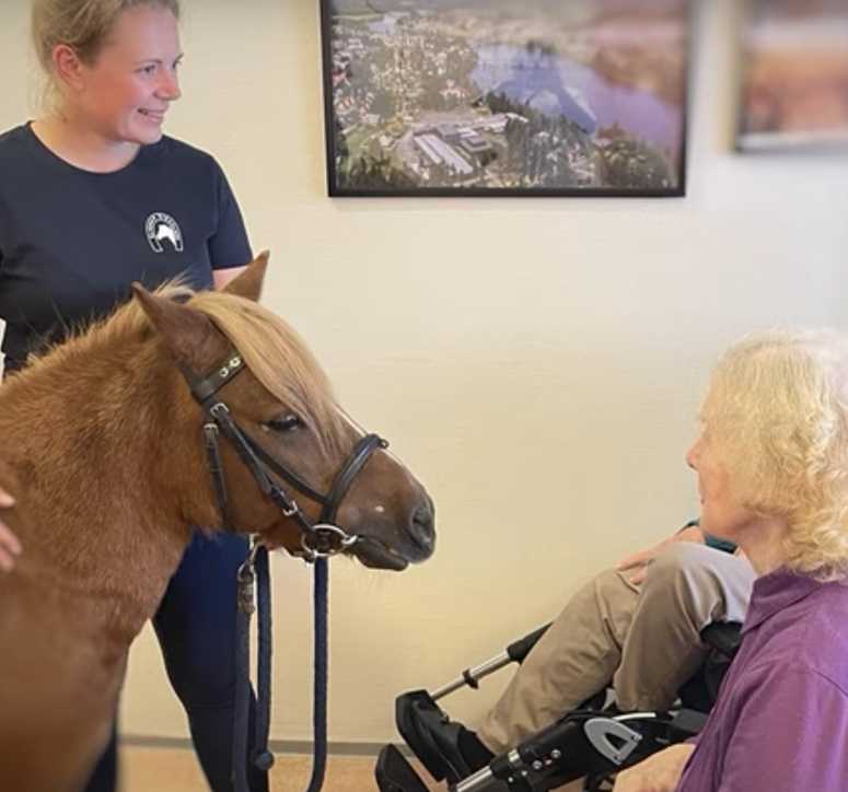 Trykk her for å se aktiviteten