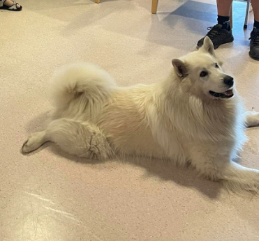 Trykk her for å se aktiviteten