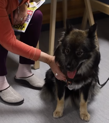 Trykk her for å se aktiviteten