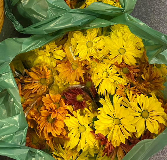 Trykk her for å se aktiviteten