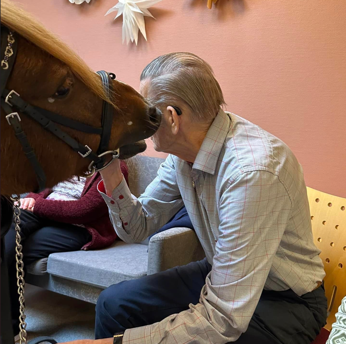 Trykk her for å se aktiviteten