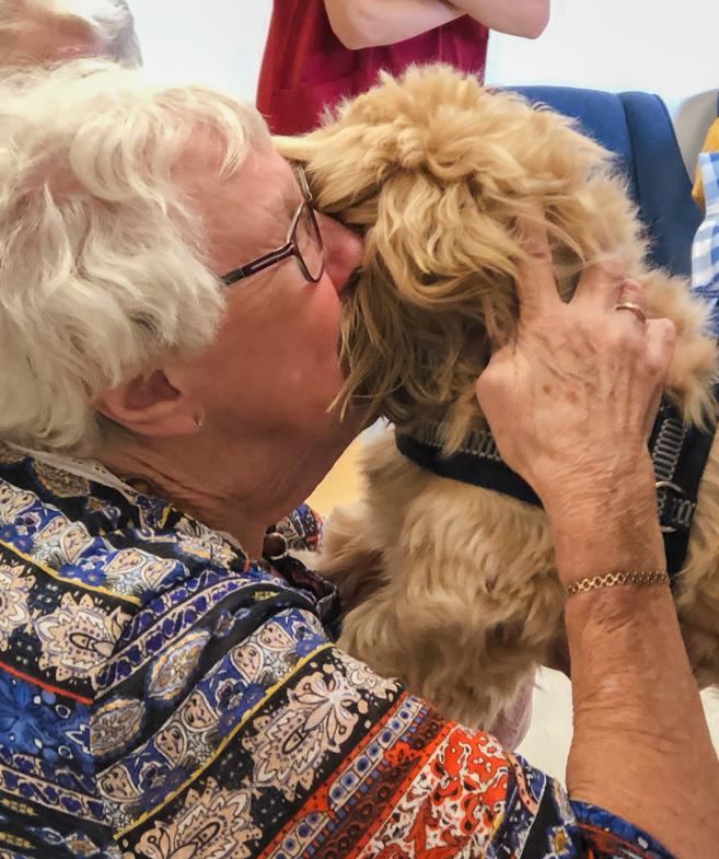 Trykk her for å se aktiviteten