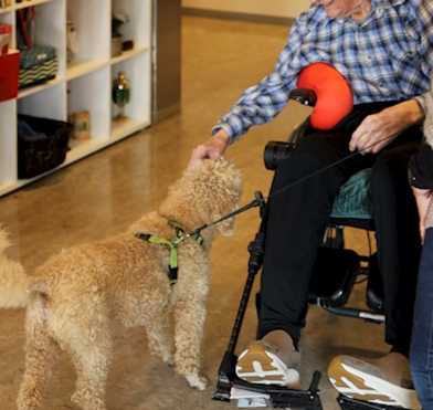 Trykk her for å se aktiviteten