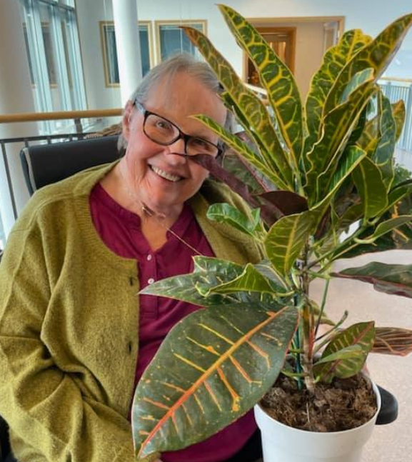 Trykk her for å se aktiviteten