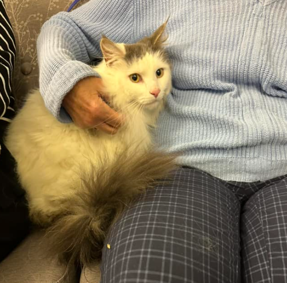 Trykk her for å se aktiviteten