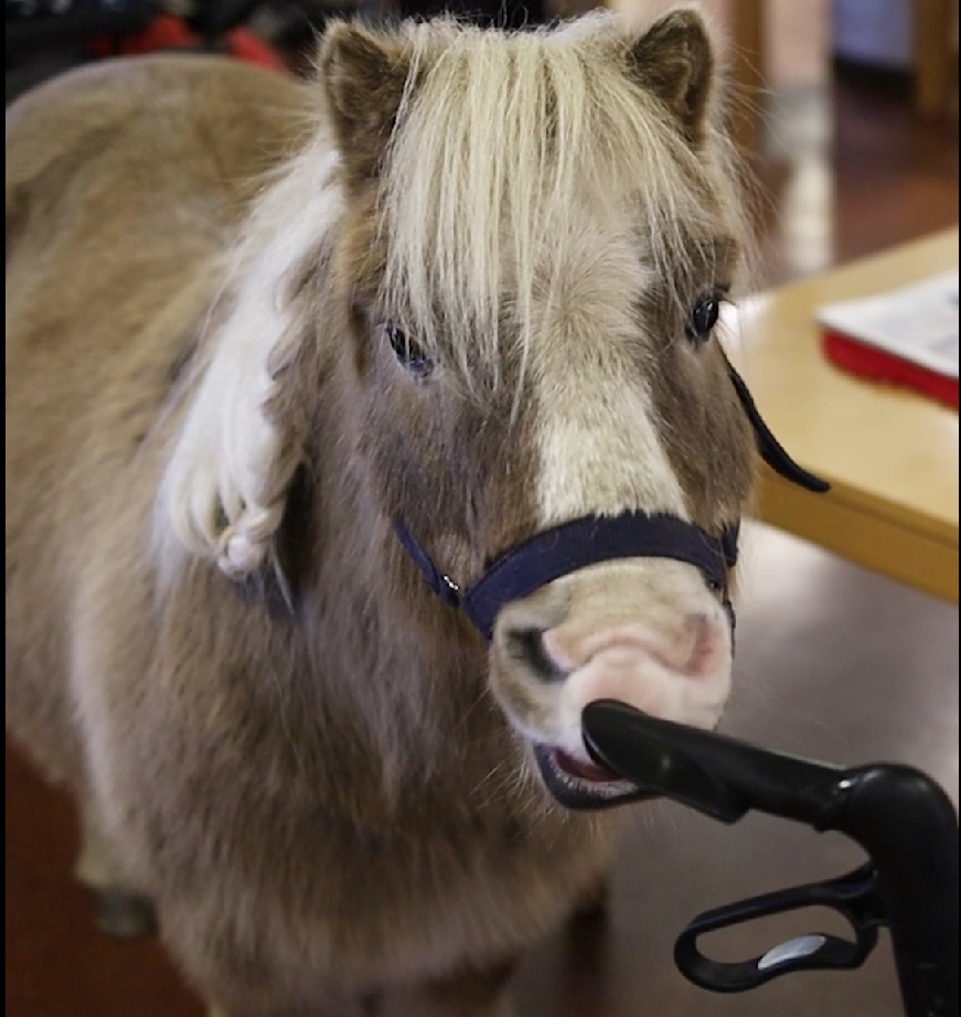 Trykk her for å se aktiviteten