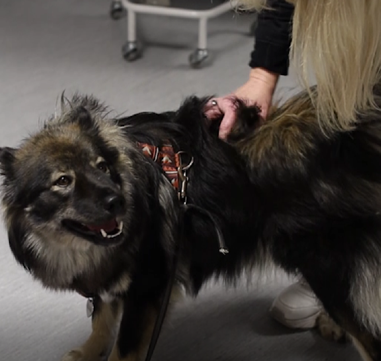 Trykk her for å se aktiviteten