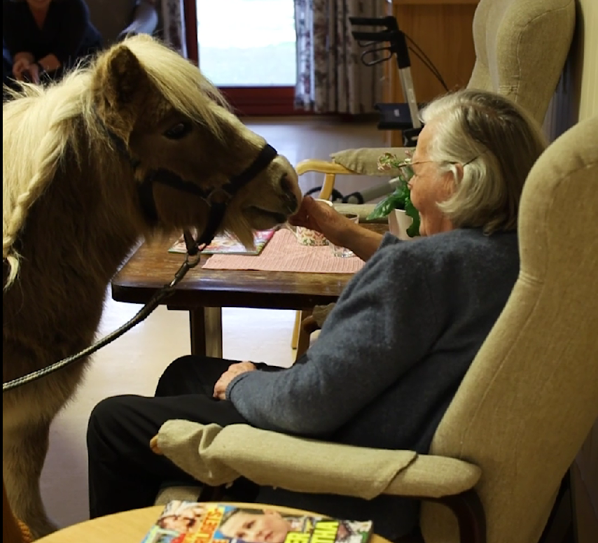 Trykk her for å se aktiviteten