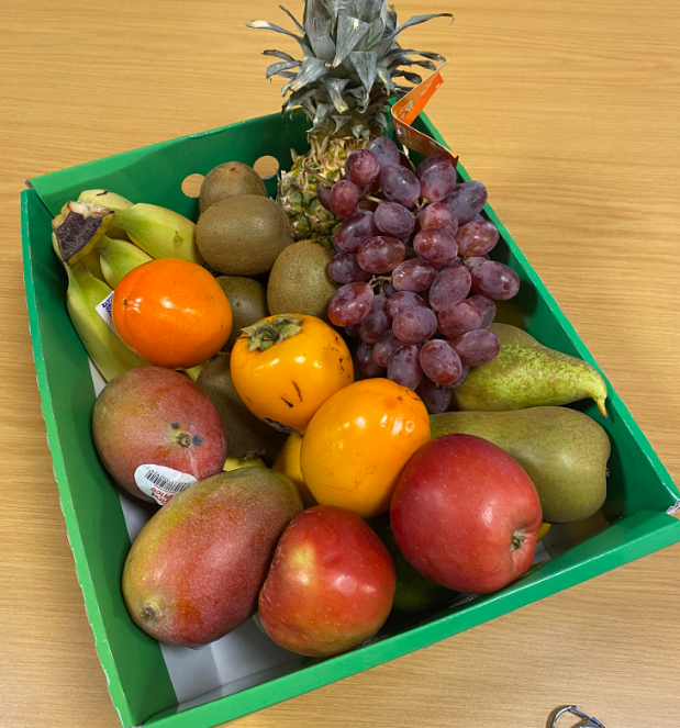 Trykk her for å se aktiviteten