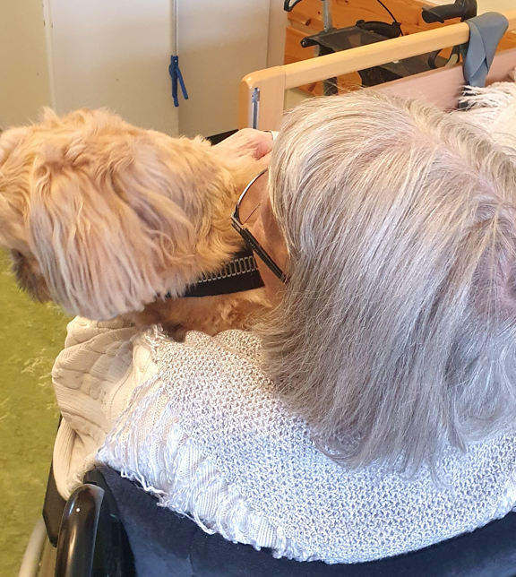 Trykk her for å se aktiviteten