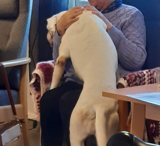 Trykk her for å se aktiviteten