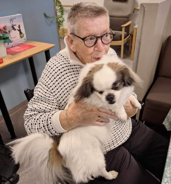 Trykk her for å se aktiviteten