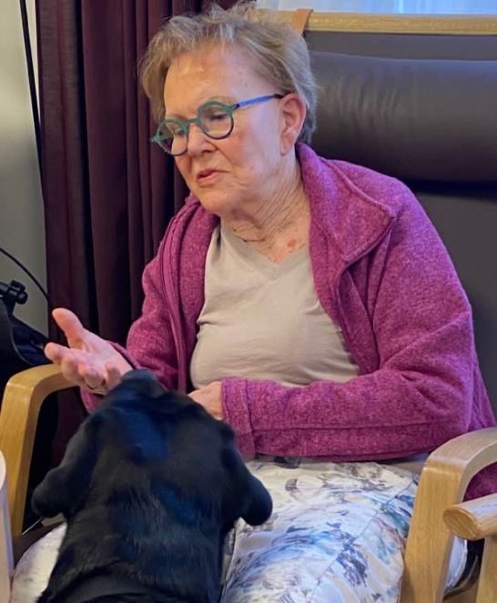 Trykk her for å se aktiviteten