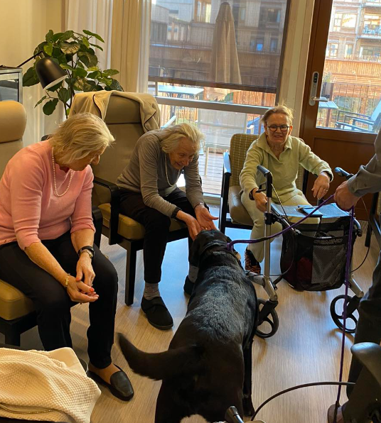 Trykk her for å se aktiviteten