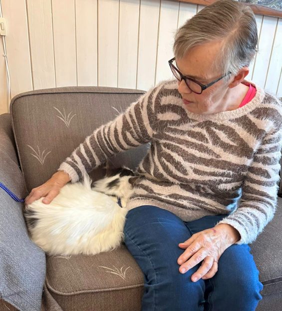 Trykk her for å se aktiviteten