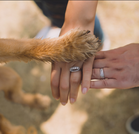 Trykk her for å se aktiviteten