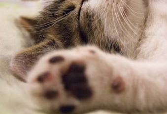 Trykk her for å se aktiviteten