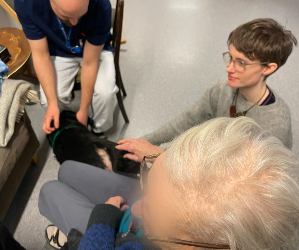 Trykk her for å se aktiviteten