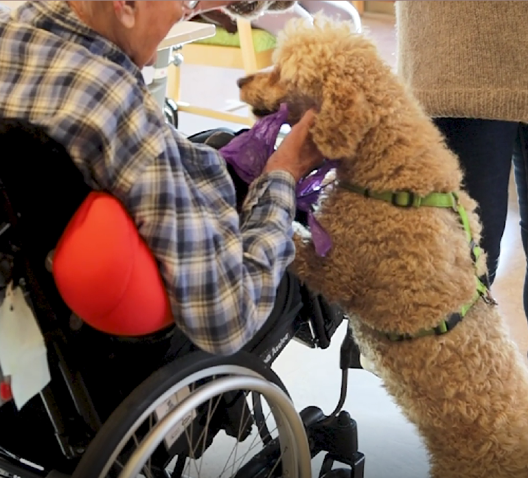 Trykk her for å se aktiviteten