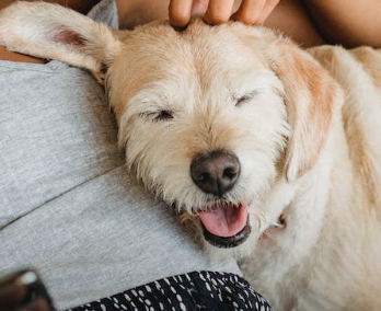 Trykk her for å se aktiviteten