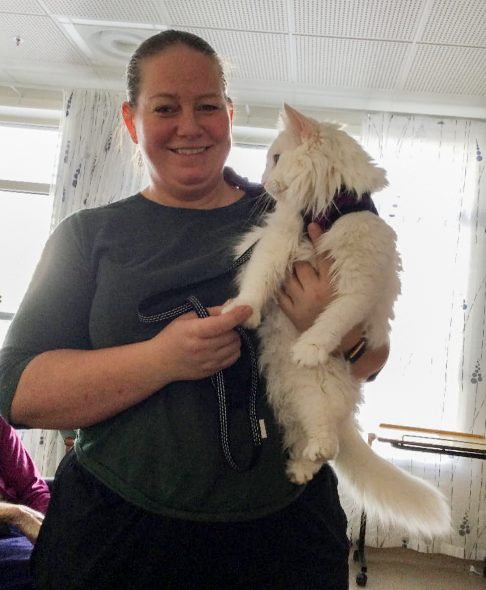 Trykk her for å se aktiviteten