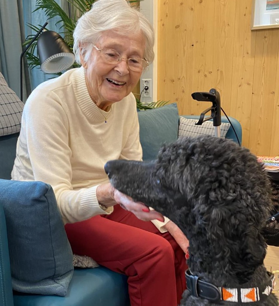 Trykk her for å se aktiviteten