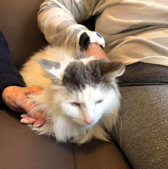 Trykk her for å se aktiviteten