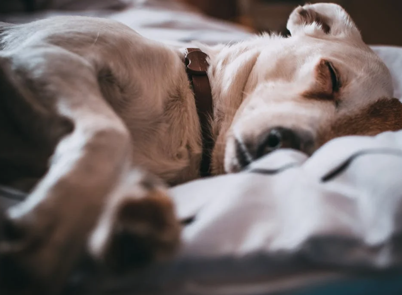 Trykk her for å se aktiviteten