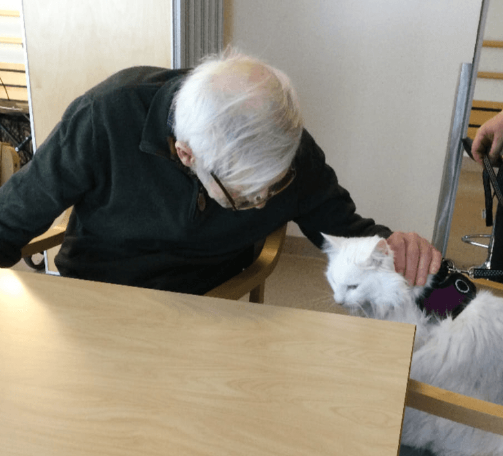 Trykk her for å se aktiviteten