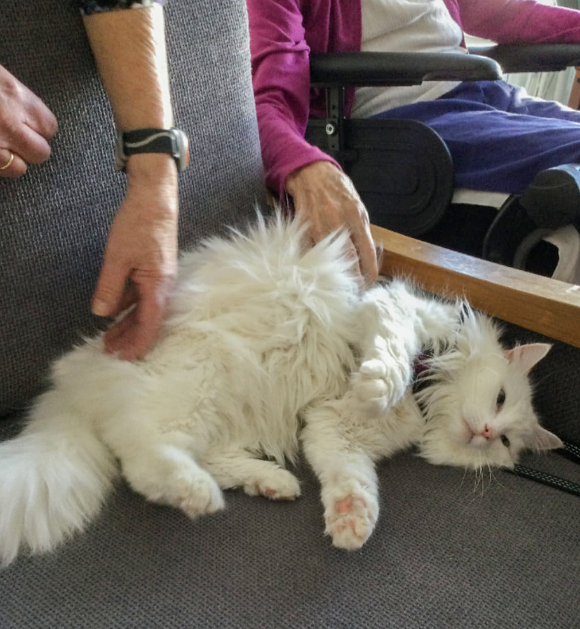 Trykk her for å se aktiviteten