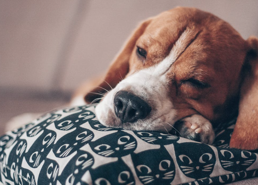 Trykk her for å se aktiviteten