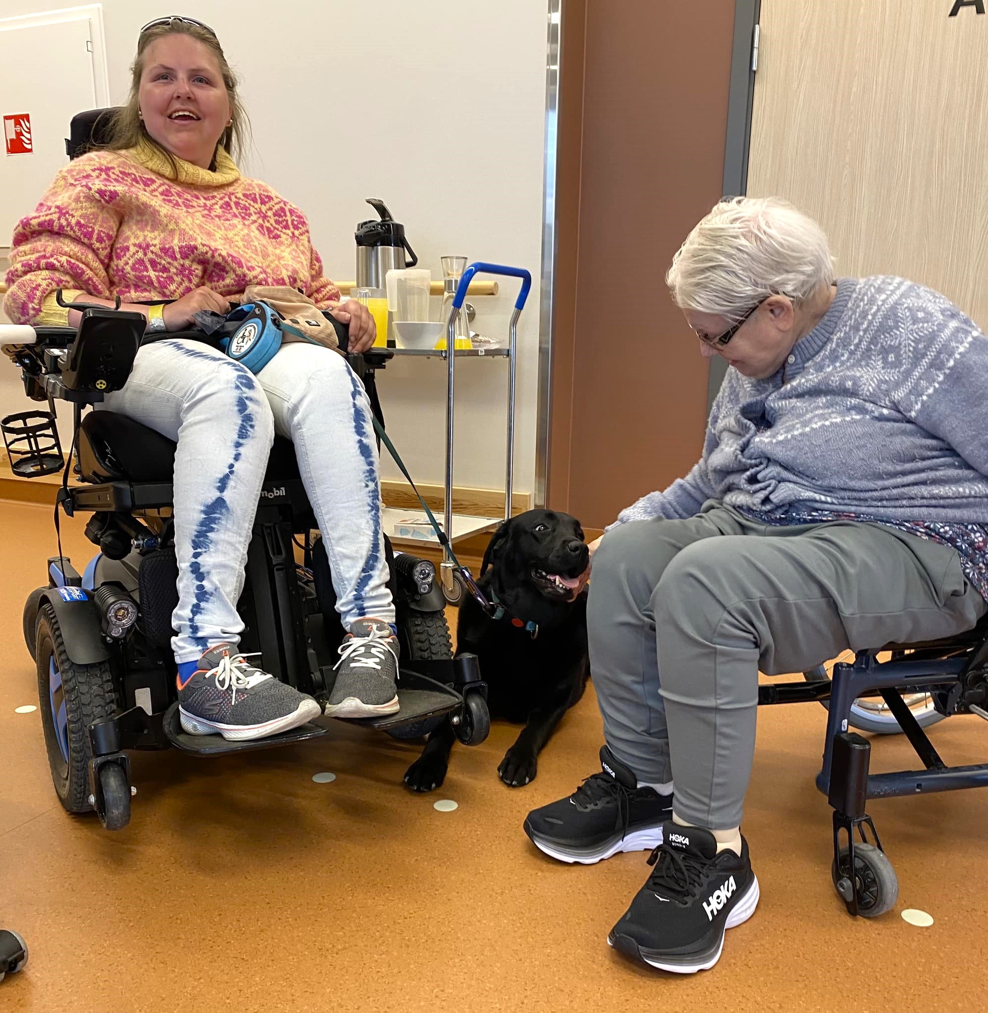 Trykk her for å se aktiviteten