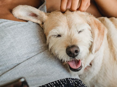 Trykk her for å se aktiviteten