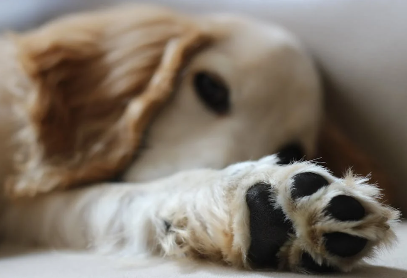 Trykk her for å se aktiviteten