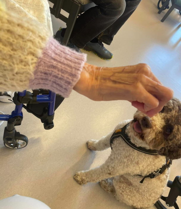 Trykk her for å se aktiviteten